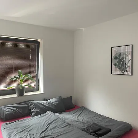 Apartment Schoenes Mit Terrasse Im Steingarten